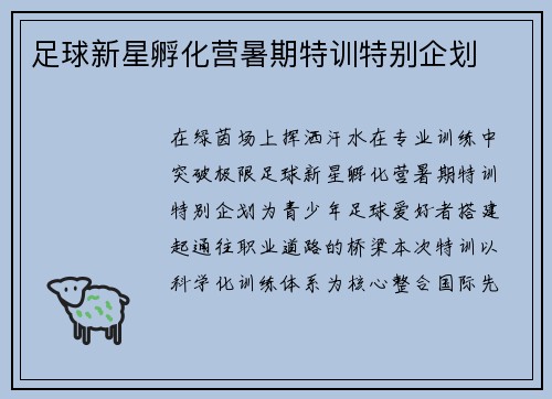 足球新星孵化营暑期特训特别企划